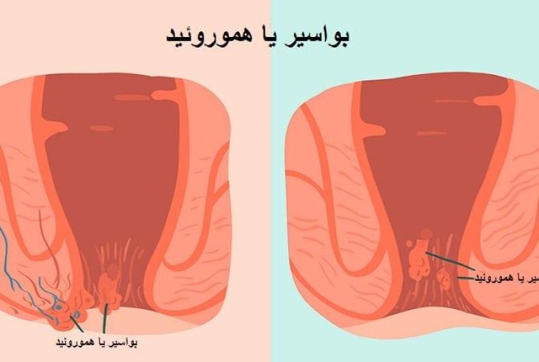 1733744746.46414_487689_image